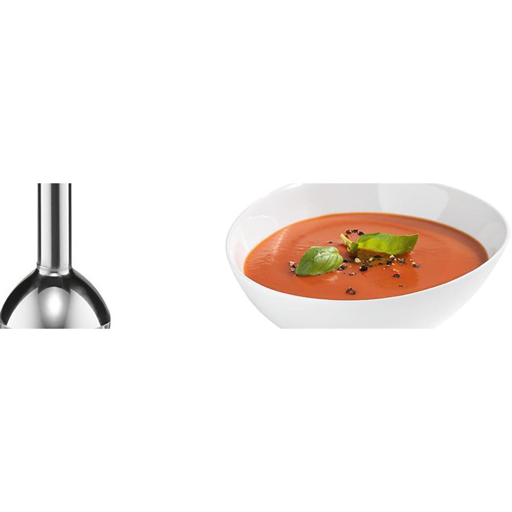 Блендер Bosch MSM26500