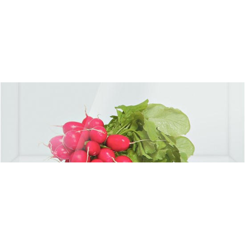 Встраиваемый двухкамерный холодильник Bosch KIV 38X20 RU