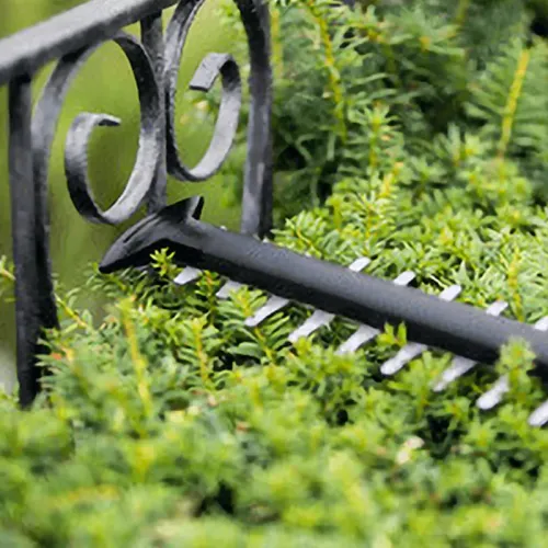 Bosch UniversalHedgeCut 18V-55 Solo аккумуляторный кусторез (без АКБ и ЗУ), 0600849J00